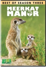 Cover art for Meerkat Manor: Best of Season 3