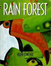 Cover art for Rain Forest
