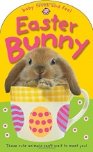 Cover art for Easter Bunny (Baby Touch and Feel)