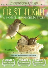 Cover art for First Flight: A Mother Hummingbird's Story