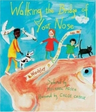 Cover art for Walking the Bridge of Your Nose: Wordplay  Poems  Rhymes