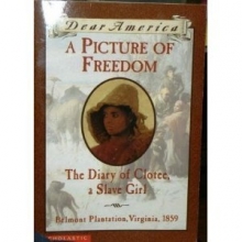 Cover art for A picture of Freedom: The diary of Clotee, a slave girl (Dear America)