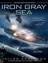 Cover art for Iron Gray Sea (Destroyermen)