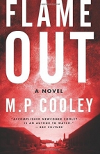 Cover art for Flame Out: A Novel (The June Lyons Series)