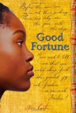 Cover art for Good Fortune
