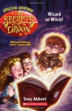 Cover art for The Secrets of Droon Special Edition #2: Wizard or Witch?