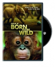 Cover art for IMAX: Born to Be Wild