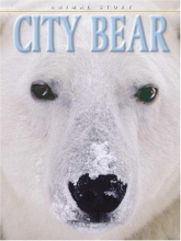 Cover art for City Bear