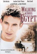 Cover art for Walking Across Egypt