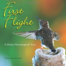 Cover art for First Flight: A Mother Hummingbird's Story