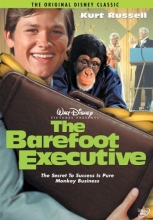 Cover art for The Barefoot Executive