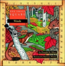 Cover art for One Small Square: Woods