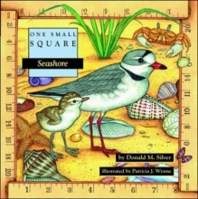 Cover art for Seashore (One Small Square)