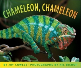 Cover art for Chameleon, Chameleon