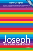 Cover art for Joseph: The Hidden Hand of God