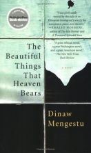 Cover art for The Beautiful Things That Heaven Bears
