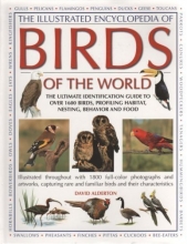 Cover art for The Illustrated Encyclopedia of Birds of the World