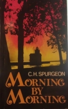 Cover art for Morning by Morning