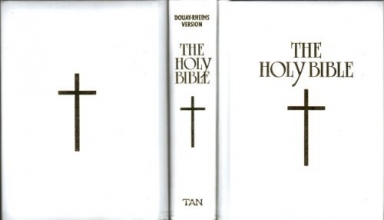 Cover art for The Holy Bible Douay-Rheims Version: Translated from the Latin Vulgate
