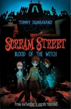 Cover art for Scream Street: Blood of the Witch