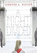 Cover art for A Night Divided