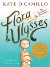 Cover art for Flors and Ulysses: The Illuminated Adventure