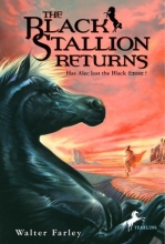 Cover art for The Black Stallion Returns