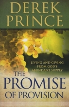 Cover art for The Promise of Provision: Living and Giving from God's Abundant Supply