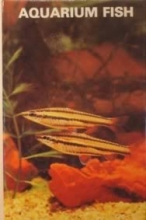 Cover art for Aquarium Fish