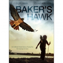 Cover art for Baker's Hawk