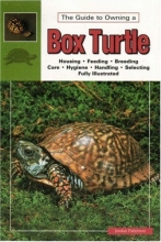 Cover art for The Guide To Owning A Box Turtle