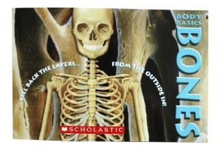 Cover art for BODY BASICS BONES,PEEL BACK THE LAYERS FROM THE OUTSIDE IN