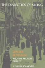 Cover art for The Dialectics of Seeing: Walter Benjamin and the Arcades Project (Studies in Contemporary German Social Thought)