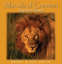 Cover art for Magnificent Mammals (Marvels of Creation)