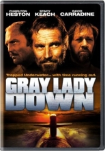 Cover art for Gray Lady Down