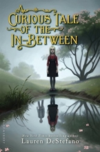 Cover art for A Curious Tale of the In-Between
