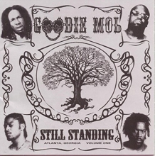 Cover art for Still Standing