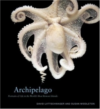 Cover art for Archipelago: Portraits of Life in the World's Most Remote Island Sanctuary