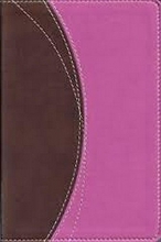 Cover art for Holy Bible: NIV (New International Version) Compact Thinline Bible - Duo-tone Brown and Pink Imitation Leather - 2011