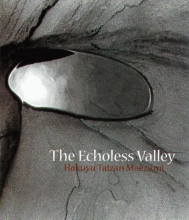 Cover art for Echoless Valley