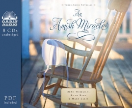 Cover art for An Amish Miracle