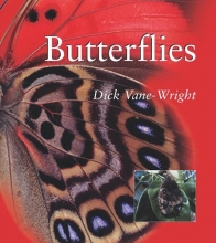 Cover art for Butterflies (Smithsonian's Natural World Series)