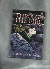 Cover art for Through the Fire (Critical issues series)