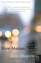 Cover art for Slow Motion: A Memoir of a Life Rescued by Tragedy