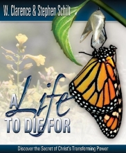 Cover art for A Life to Die for
