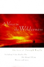 Cover art for A Voice in the Wilderness (Joseph Bayly Series)