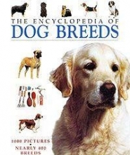 Cover art for Encyclopedia of Dog Breeds