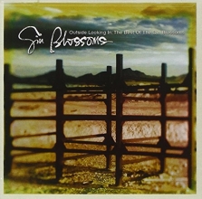 Cover art for Outside Looking In: The Best Of Gin Blossoms