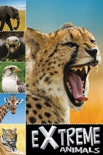 Cover art for Extreme Animals (Ready To Read)