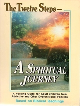 Cover art for A Spiritual Journey: A Working Guide for Adult Children from Addictive and Other Dysfunctional Families